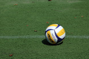 排球赛场焦点！日本队对阵巴西队，历史性突破，球队首次挺进决赛