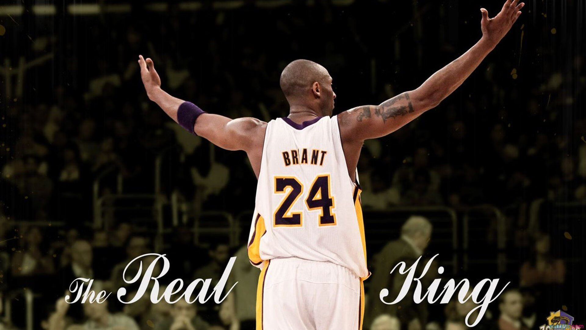 世俱杯转会风云：菲尼克斯太阳盯上锋线强援，郑钦文或成交易筹码